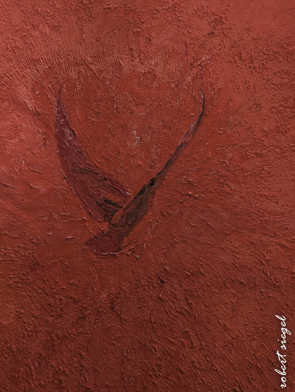 windhover